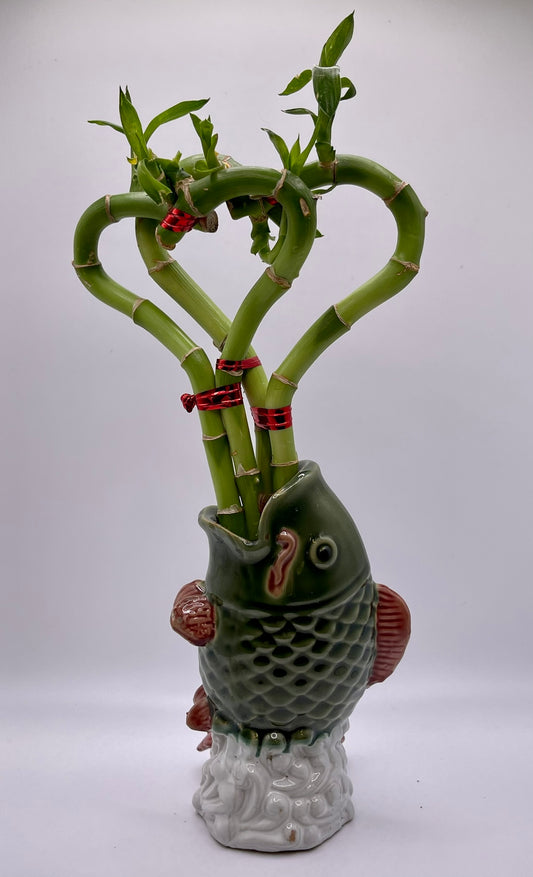 Heart-Shaped Bamboo in Fish Vase